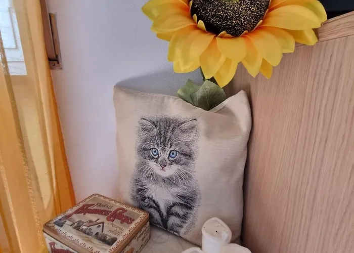 Il Girasole Di Spezia Appartement *