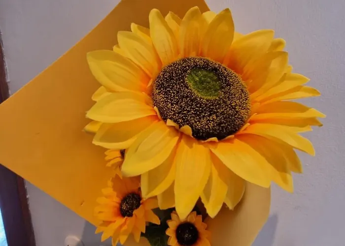 Il Girasole Di Spezia * Λα Σπέτσια